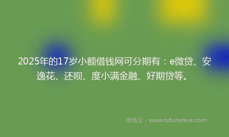 2025年的17岁小额借钱网可分期有：e微贷、安逸花、还呗、度小满金融、好期贷等。