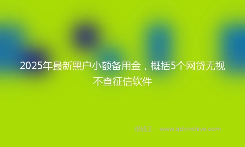 2025年最新黑户小额备用金，概括5个网贷无视不查征信软件