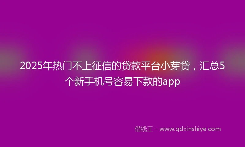 2025年热门不上征信的贷款平台小芽贷，汇总5个新手机号容易下款的app
