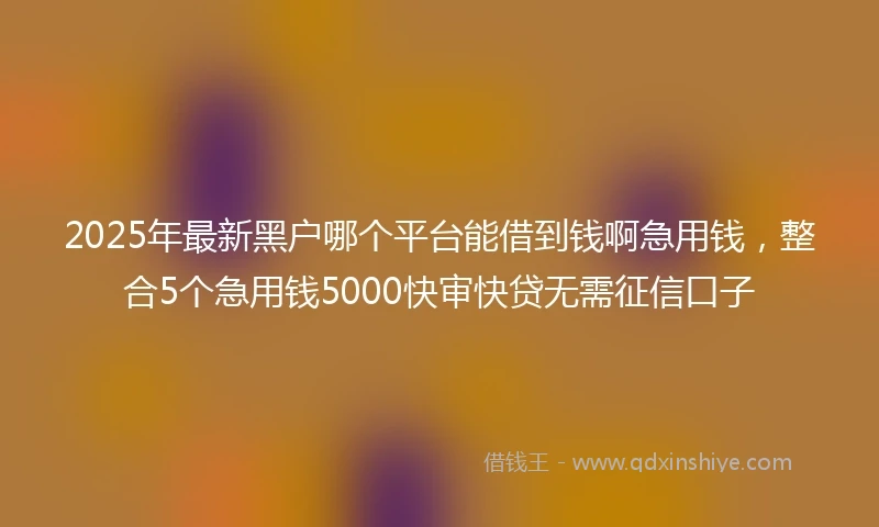 2025年最新黑户哪个平台能借到钱啊急用钱，整合5个急用钱5000快审快贷无需征信口子