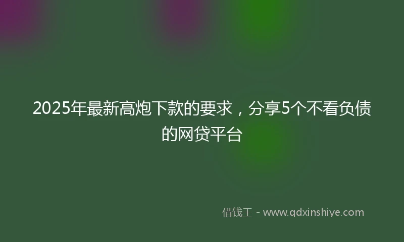 2025年最新高炮下款的要求，分享5个不看负债的网贷平台