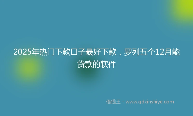 2025年热门下款口子最好下款，罗列五个12月能贷款的软件