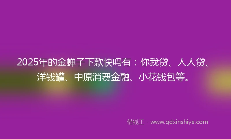 2025年的金蝉子下款快吗有：你我贷、人人贷、洋钱罐、中原消费金融、小花钱包等。