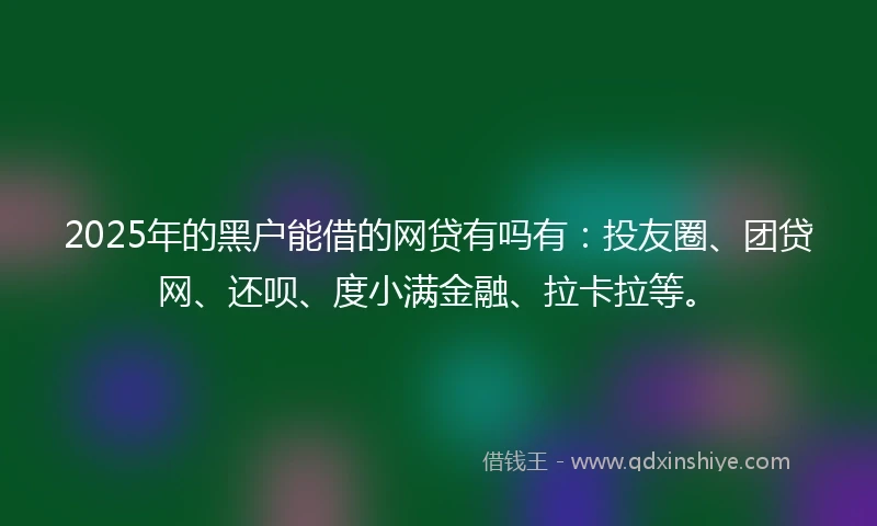 2025年的黑户能借的网贷有吗有：投友圈、团贷网、还呗、度小满金融、拉卡拉等。