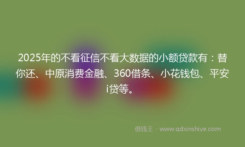 2025年的不看征信不看大数据的小额贷款有：替你还、中原消费金融、360借条、小花钱包、平安i贷等。