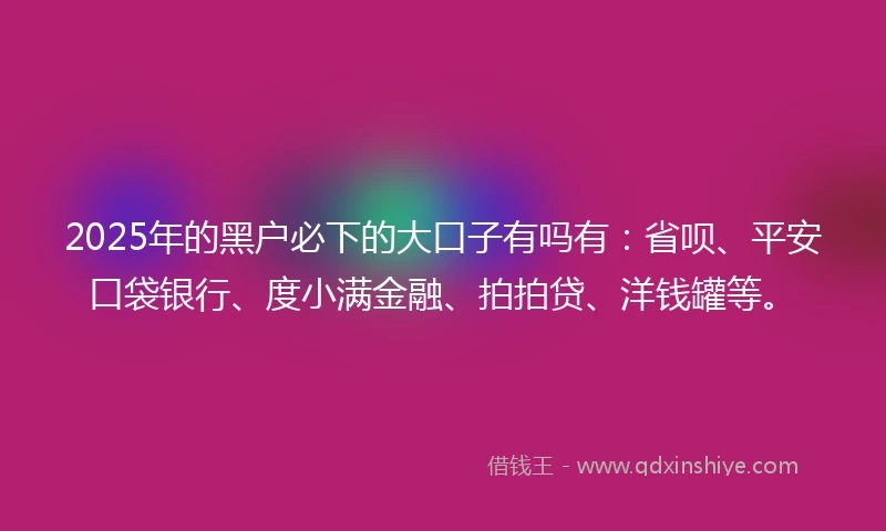 2025年的黑户必下的大口子有吗有：省呗、平安口袋银行、度小满金融、拍拍贷、洋钱罐等。