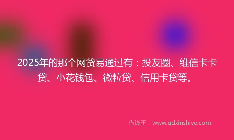 2025年的那个网贷易通过有：投友圈、维信卡卡贷、小花钱包、微粒贷、信用卡贷等。