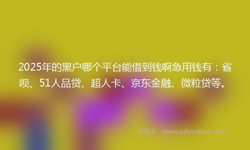 2025年的黑户哪个平台能借到钱啊急用钱有：省呗、51人品贷、超人卡、京东金融、微粒贷等。