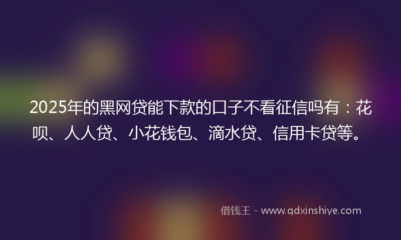 2025年的黑网贷能下款的口子不看征信吗有：花呗、人人贷、小花钱包、滴水贷、信用卡贷等。