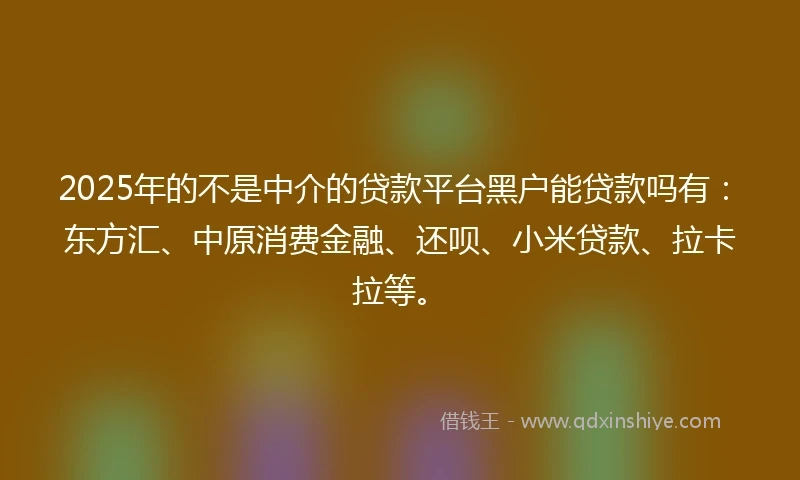 2025年的不是中介的贷款平台黑户能贷款吗有：东方汇、中原消费金融、还呗、小米贷款、拉卡拉等。