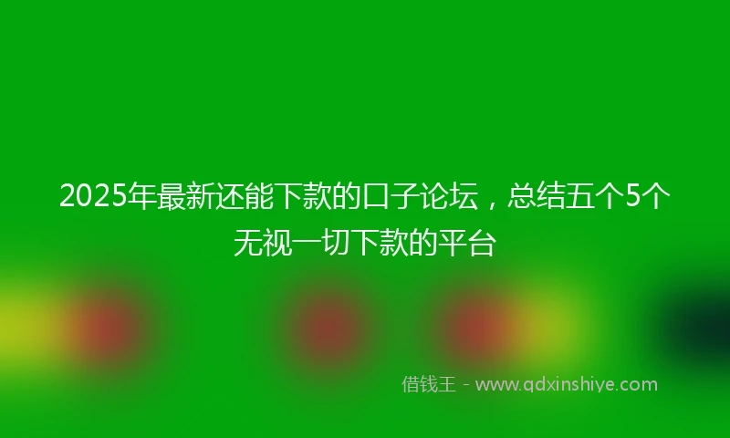 2025年最新还能下款的口子论坛，总结五个5个无视一切下款的平台