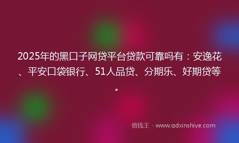 2025年的黑口子网贷平台贷款可靠吗有：安逸花、平安口袋银行、51人品贷、分期乐、好期贷等。