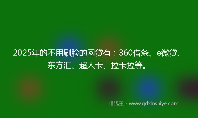 2025年的不用刷脸的网贷有：360借条、e微贷、东方汇、超人卡、拉卡拉等。
