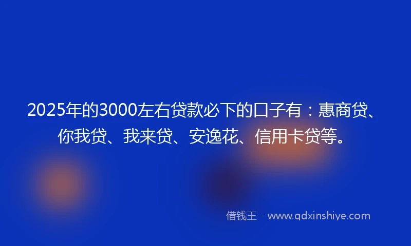 2025年的3000左右贷款必下的口子有：惠商贷、你我贷、我来贷、安逸花、信用卡贷等。
