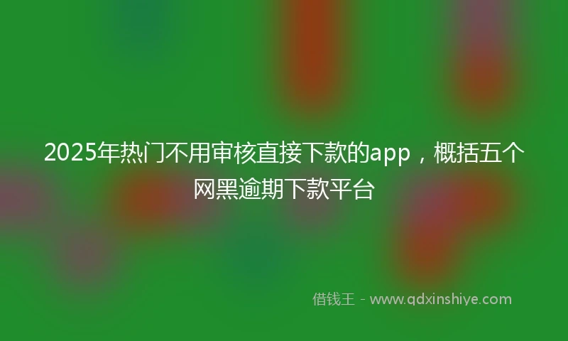 2025年热门不用审核直接下款的app,概括五个网黑逾期下款平台