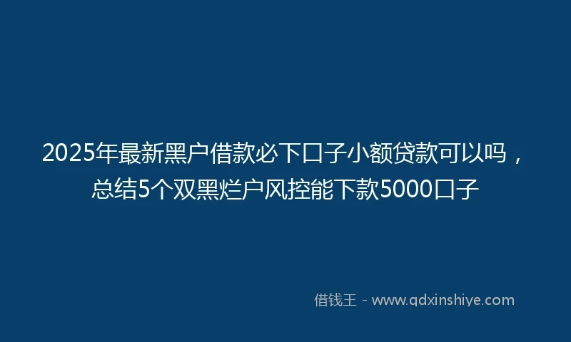 2025年最新黑户借款必下口子小额贷款可以吗，总结5个双黑烂户风控能下款5000口子