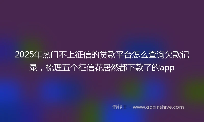 2025年热门不上征信的贷款平台怎么查询欠款记录，梳理五个征信花居然都下款了的app