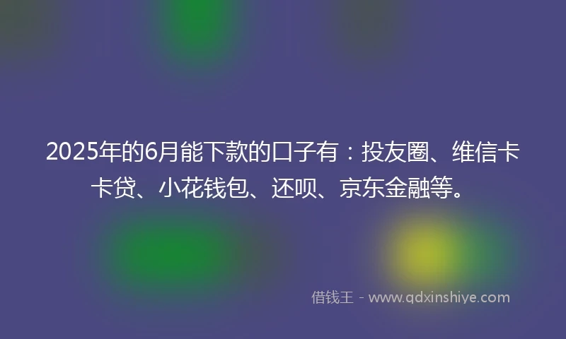 2025年的6月能下款的口子有：投友圈、维信卡卡贷、小花钱包、还呗、京东金融等。