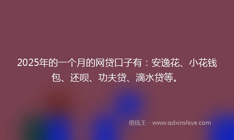 2025年的一个月的网贷口子有：安逸花、小花钱包、还呗、功夫贷、滴水贷等。