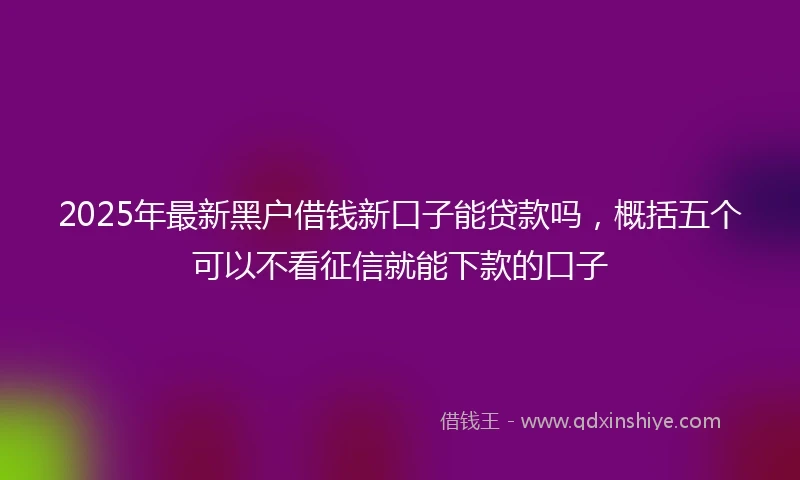 2025年最新黑户借钱新口子能贷款吗，概括五个可以不看征信就能下款的口子
