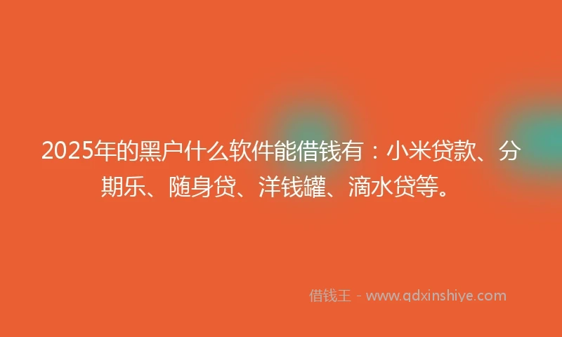 2025年的黑户什么软件能借钱有：小米贷款、分期乐、随身贷、洋钱罐、滴水贷等。
