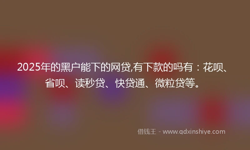 2025年的黑户能下的网贷,有下款的吗有：花呗、省呗、读秒贷、快贷通、微粒贷等。