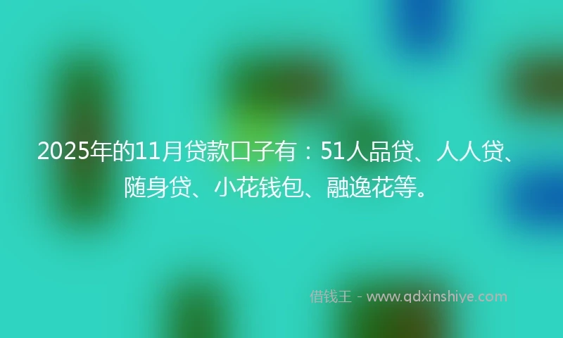 2025年的11月贷款口子有：51人品贷、人人贷、随身贷、小花钱包、融逸花等。