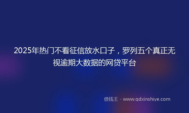 2025年热门不看征信放水口子，罗列五个真正无视逾期大数据的网贷平台