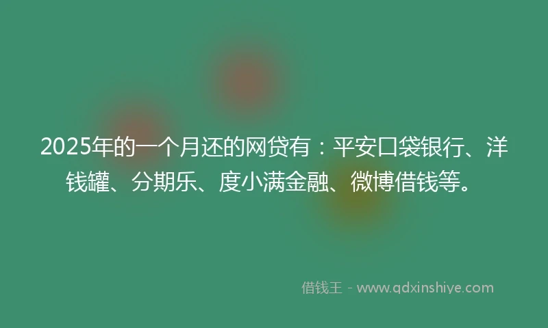 2025年的一个月还的网贷有：平安口袋银行、洋钱罐、分期乐、度小满金融、微博借钱等。