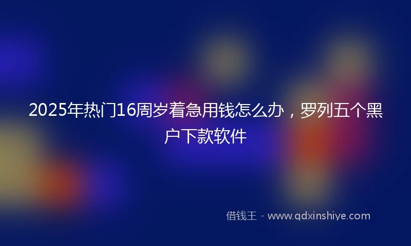 2025年热门16周岁着急用钱怎么办，罗列五个黑户下款软件
