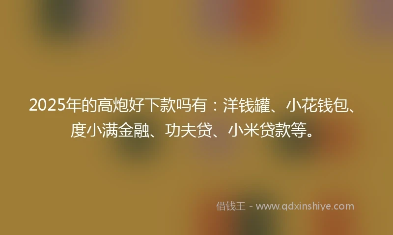 2025年的高炮好下款吗有：洋钱罐、小花钱包、度小满金融、功夫贷、小米贷款等。