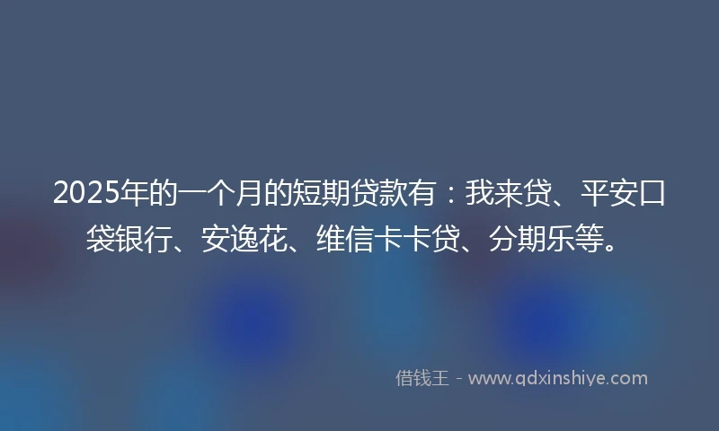2025年的一个月的短期贷款有：我来贷、平安口袋银行、安逸花、维信卡卡贷、分期乐等。
