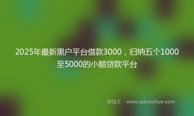 2025年最新黑户平台借款3000，归纳五个1000至5000的小额贷款平台
