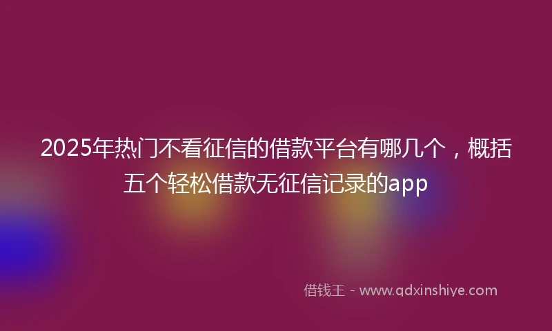 2025年热门不看征信的借款平台有哪几个，概括五个轻松借款无征信记录的app