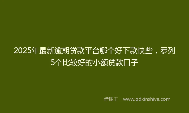2025年最新逾期贷款平台哪个好下款快些，罗列5个比较好的小额贷款口子