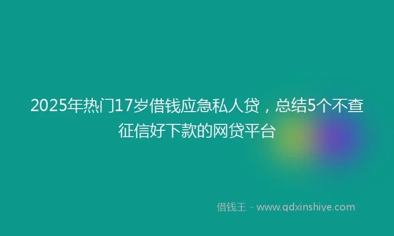 2025年热门17岁借钱应急私人贷，总结5个不查征信好下款的网贷平台