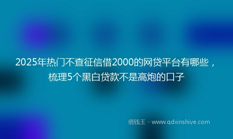 2025年热门不查征信借2000的网贷平台有哪些,梳理5个黑白贷款不是高炮的口子
