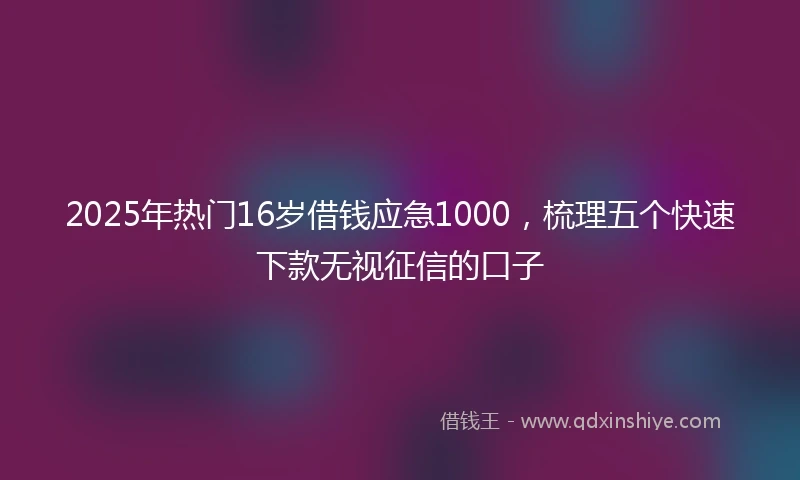 2025年热门16岁借钱应急1000，梳理五个快速下款无视征信的口子
