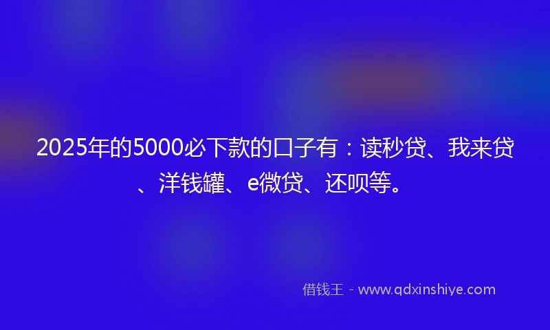 2025年的5000必下款的口子有：读秒贷、我来贷、洋钱罐、e微贷、还呗等。