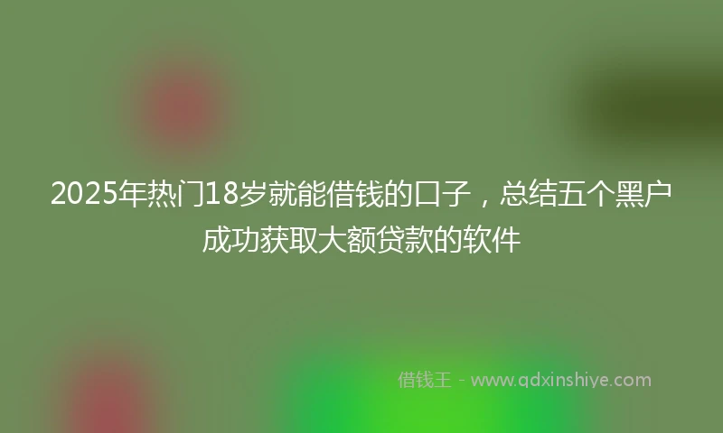 2025年热门18岁就能借钱的口子，总结五个黑户成功获取大额贷款的软件