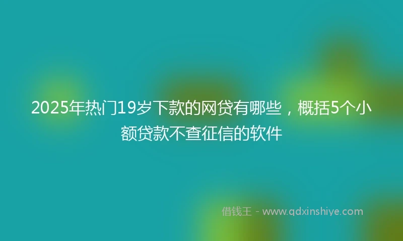 2025年热门19岁下款的网贷有哪些，概括5个小额贷款不查征信的软件