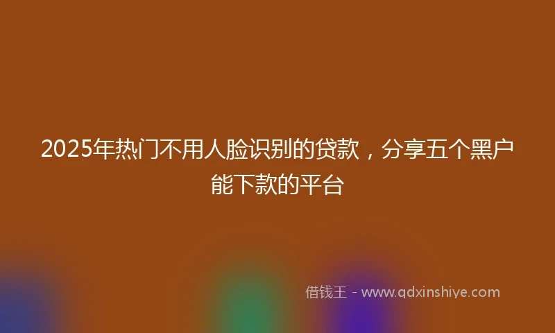 2025年热门不用人脸识别的贷款，分享五个黑户能下款的平台