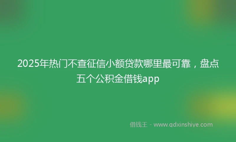 2025年热门不查征信小额贷款哪里最可靠，盘点五个公积金借钱app