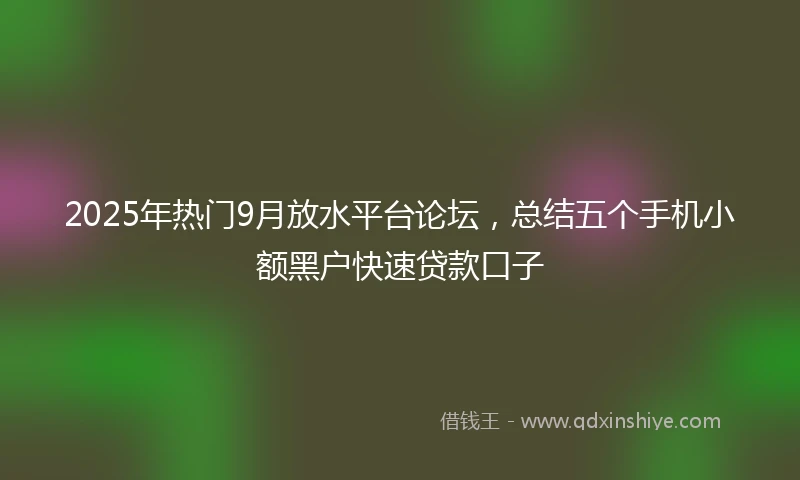 2025年热门9月放水平台论坛，总结五个手机小额黑户快速贷款口子