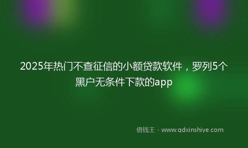 2025年热门不查征信的小额贷款软件,罗列5个黑户无条件下款的app