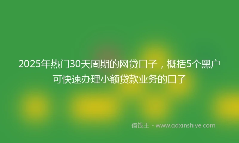 2025年热门30天周期的网贷口子，概括5个黑户可快速办理小额贷款业务的口子