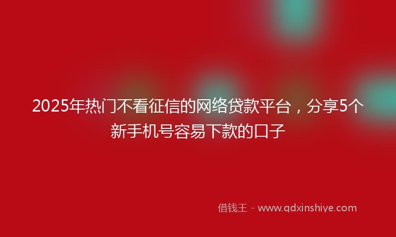 2025年热门不看征信的网络贷款平台,分享5个新手机号容易下款的口子