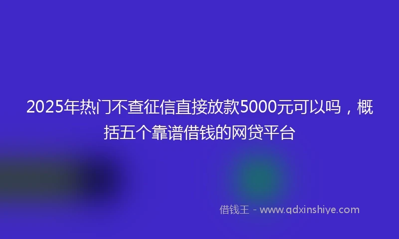 2025年热门不查征信直接放款5000元可以吗，概括五个靠谱借钱的网贷平台
