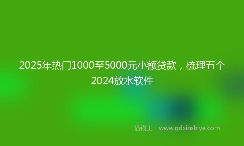 2025年热门1000至5000元小额贷款,梳理五个2024放水软件
