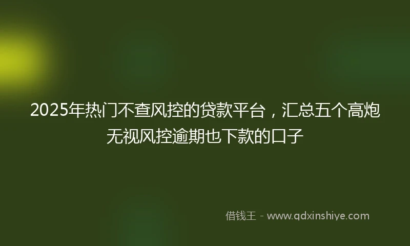 2025年热门不查风控的贷款平台，汇总五个高炮无视风控逾期也下款的口子